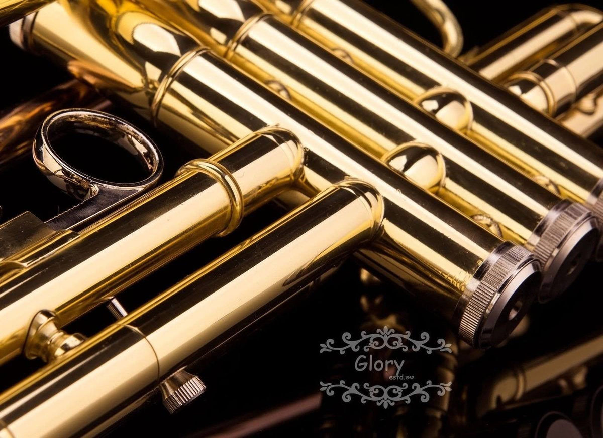 Brass Bb Trumpet with Pro Case and Care Kit L41896