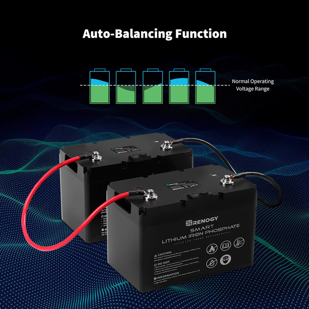 12V 100Ah LiFePO4 Deep Cycle Lithium Battery H303