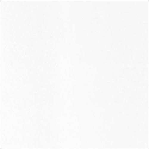 Platine Fibre Rag Inkjet Paper 310gsm 36 in. x 50 ft. Roll L867