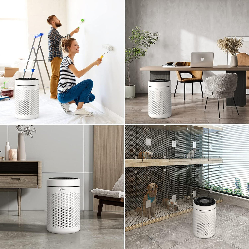 HEPA Air Purifier with PM2.5 Smart Sensor, H13 True HEPA, 22dB Q851