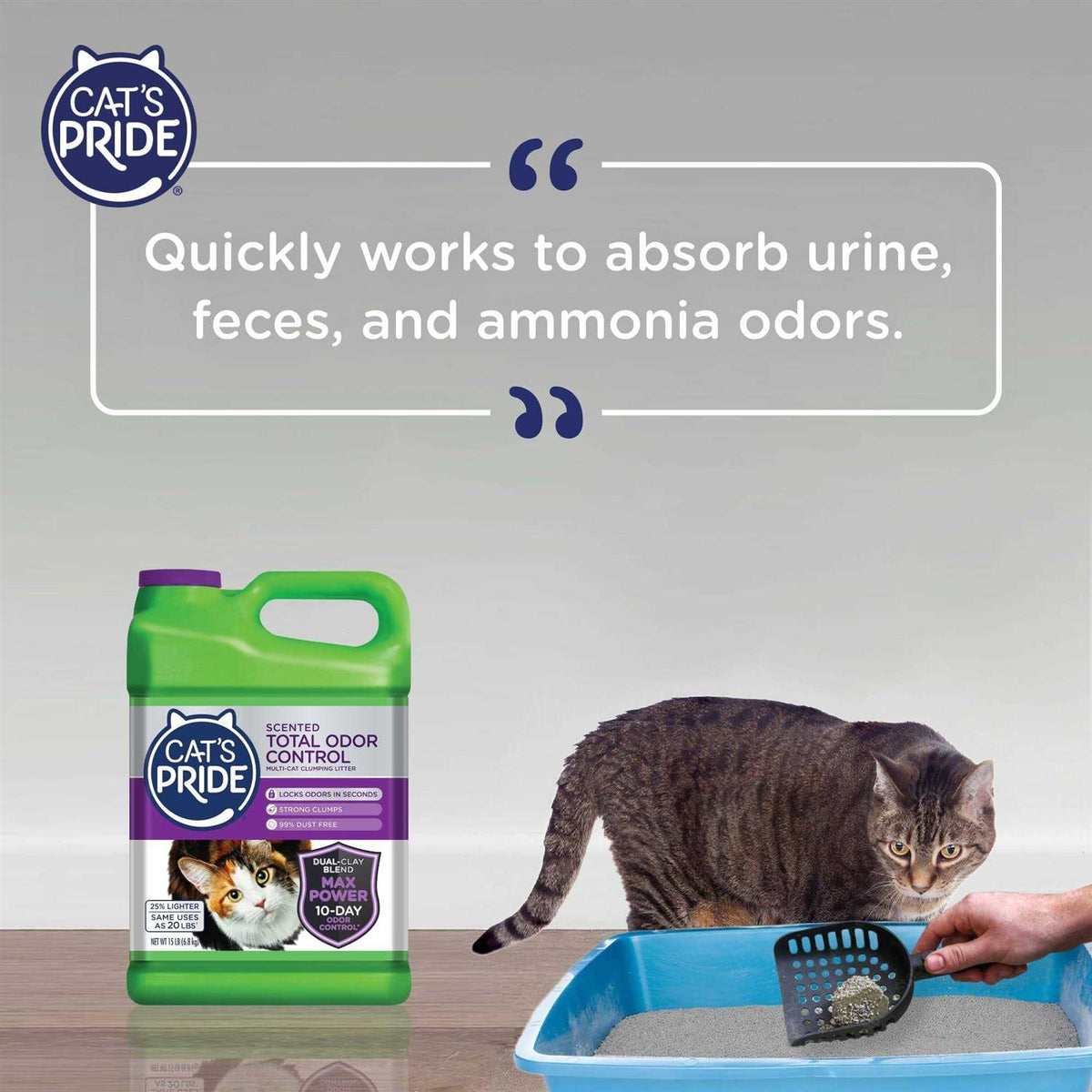 Scented Cat Litter Q6434