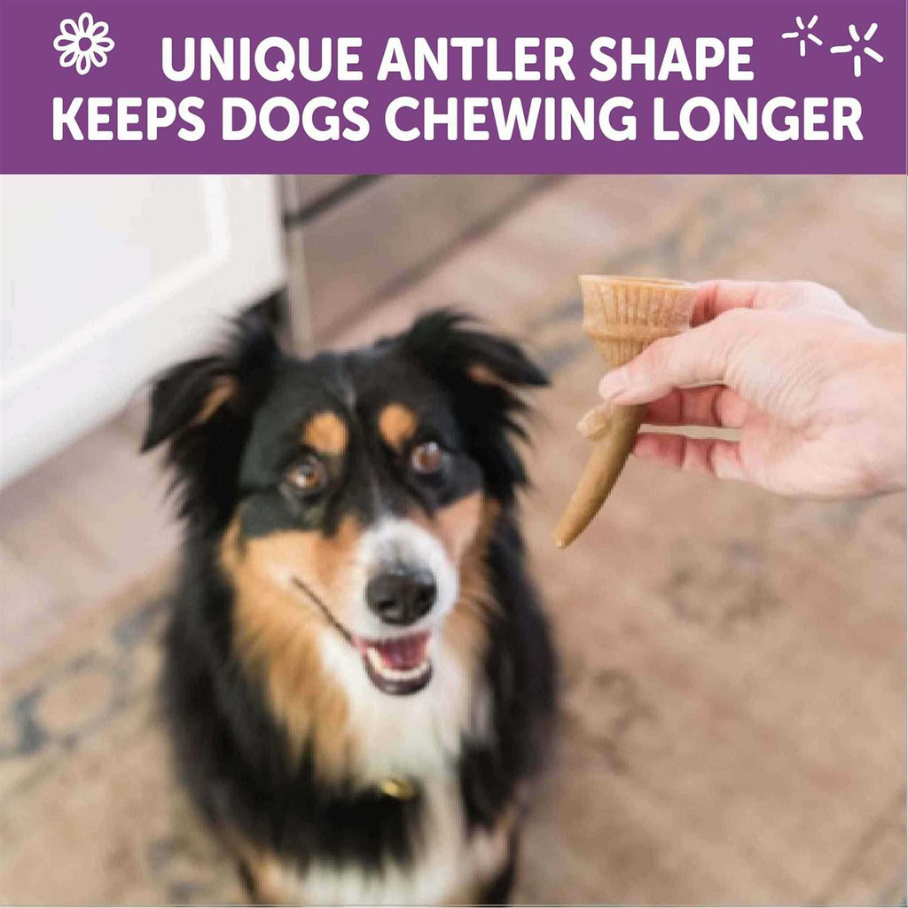 Dog Chews Value Bag R415