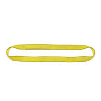 3 Ply 22 x 30 Endless Polyester Web Sling L385562