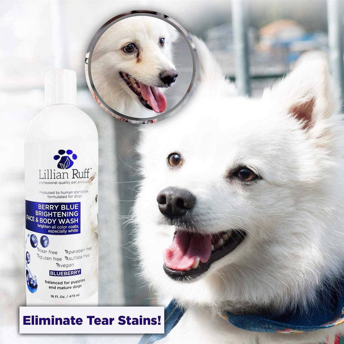 Berry Blue Brightening Face and Body Wash for Dogs and Cats P992