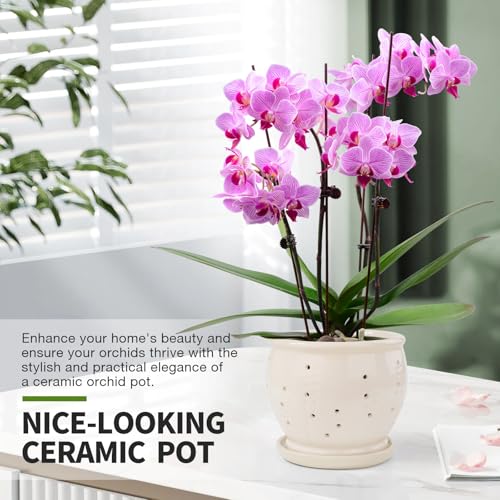6.3" Ceramic Orchid Pots with Holes Crackle Glazed with Drainage and Separate Saucer White I93529