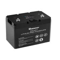 12V 100Ah LiFePO4 Deep Cycle Lithium Battery H303