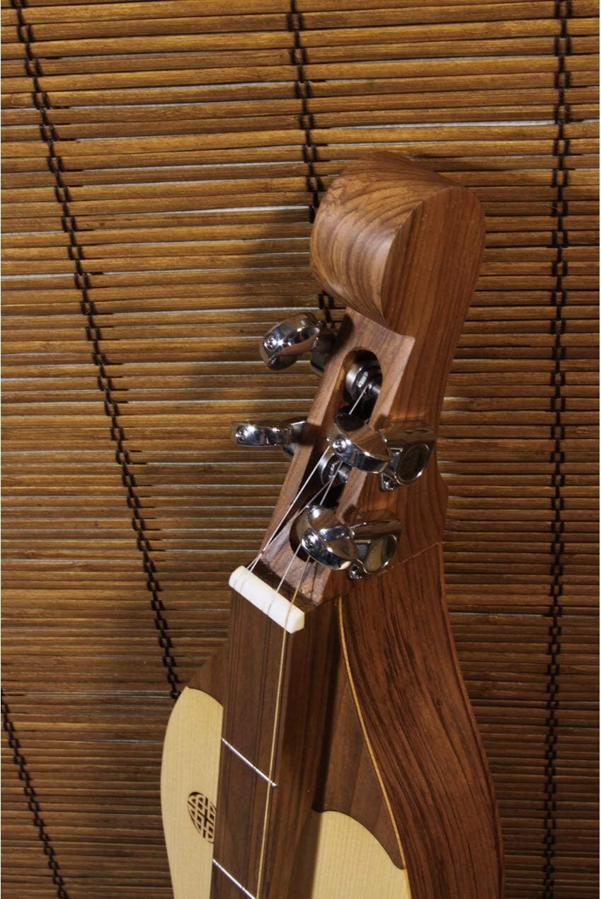 Mountain Dulcimer 4-String Vaulted Spruce Knotwork Walnut with Gig Bag Case and Replacement Strings L9708