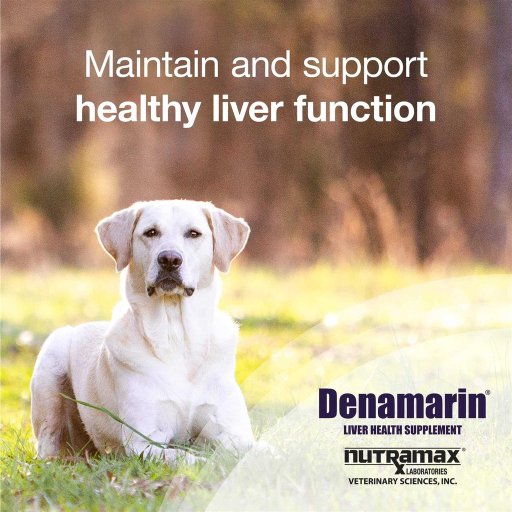 Denamarin for Dogs P47402