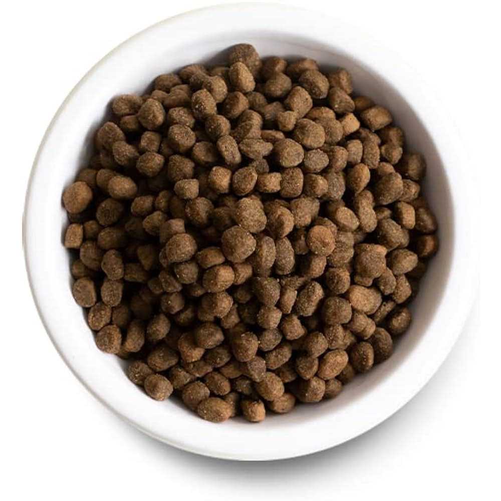 Chicken Ancient Grains Dry Dog Food R558