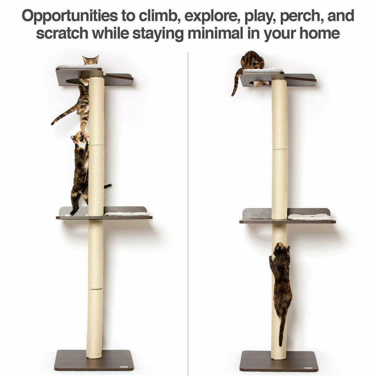Cat Climbing Tower and Activity Tree with Sisal Scratching K904