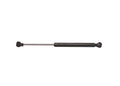 Tailgate Lift Support J52281