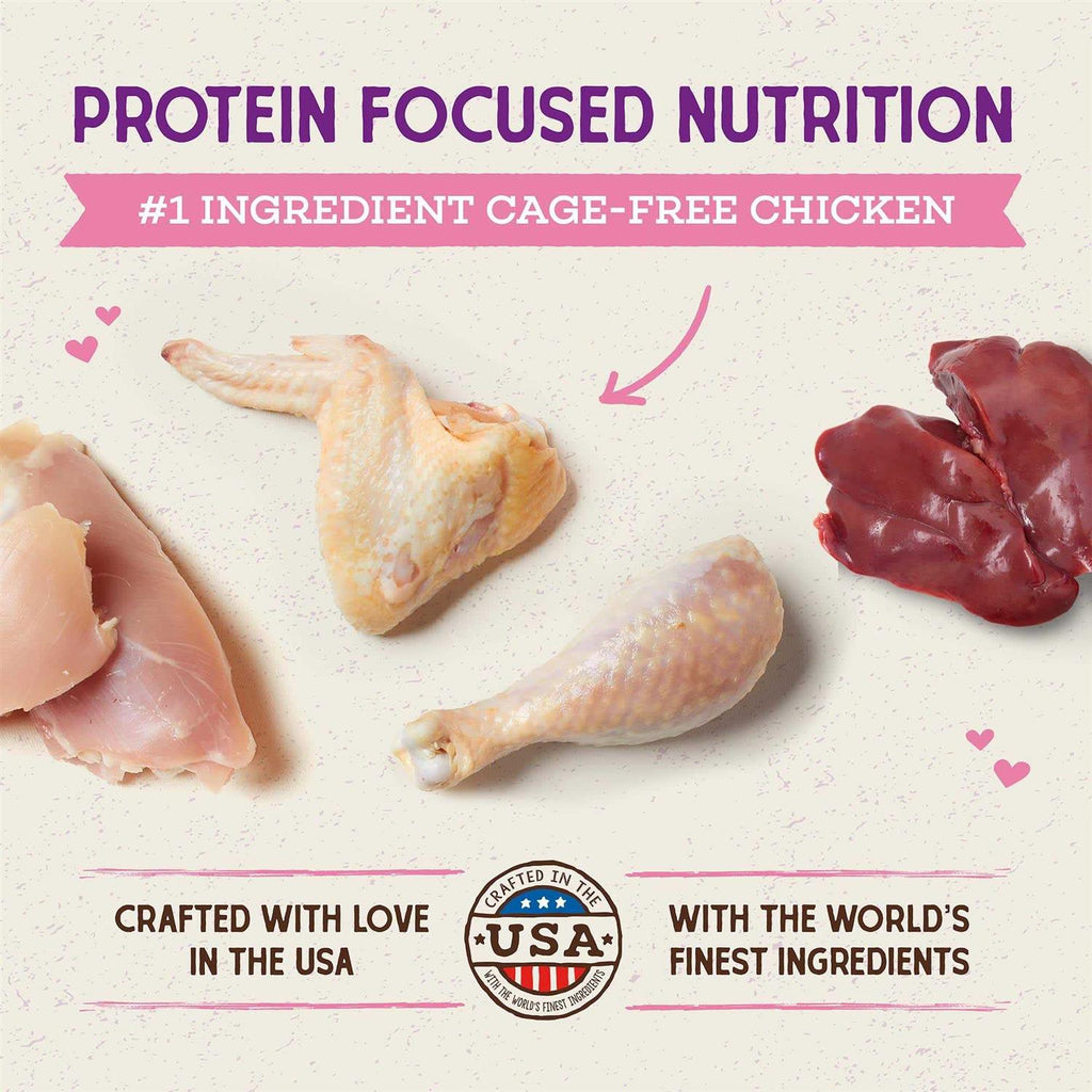 Chicken Kitten Dry Cat Food H39930