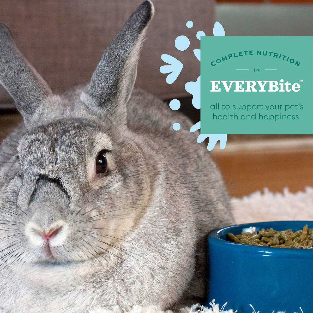 Senior Rabbit Food W92386