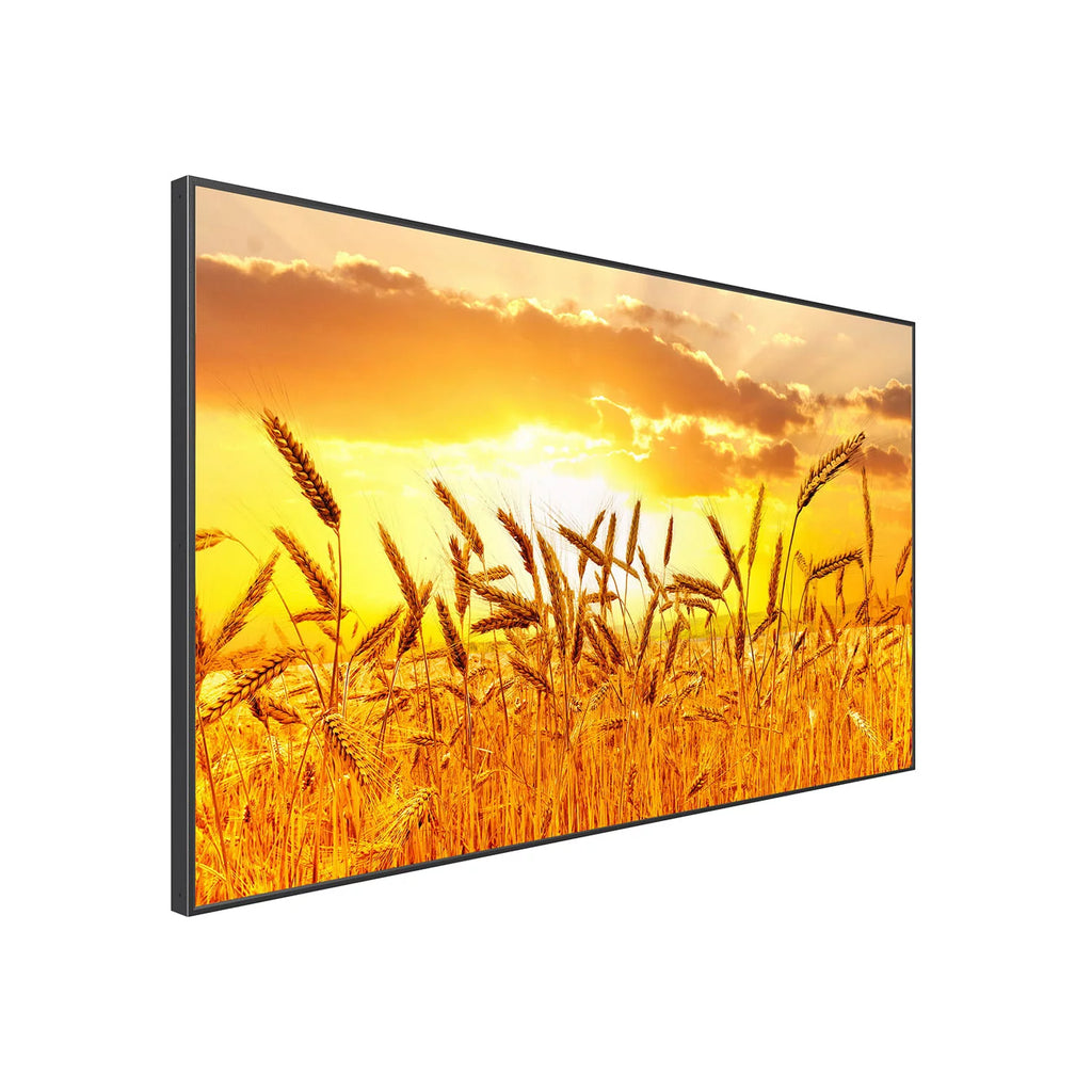 43" High Brightness Smart Outdoor Television H40866