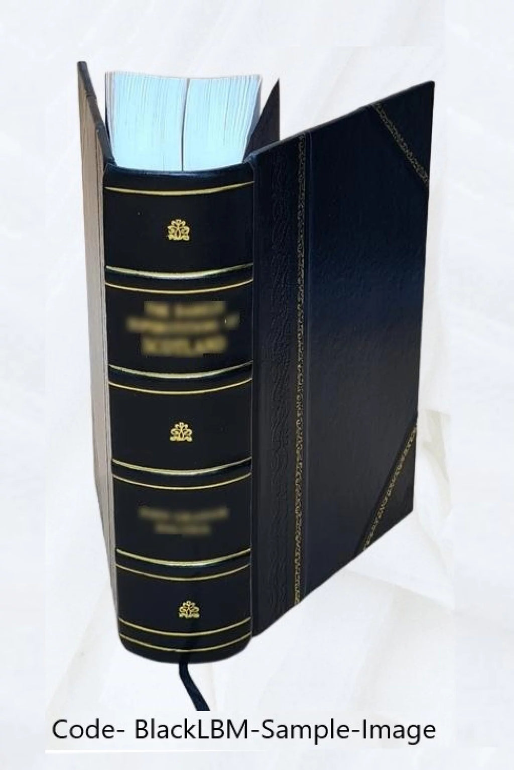 Annual report Secretary of the Interior Leather Bound H1907