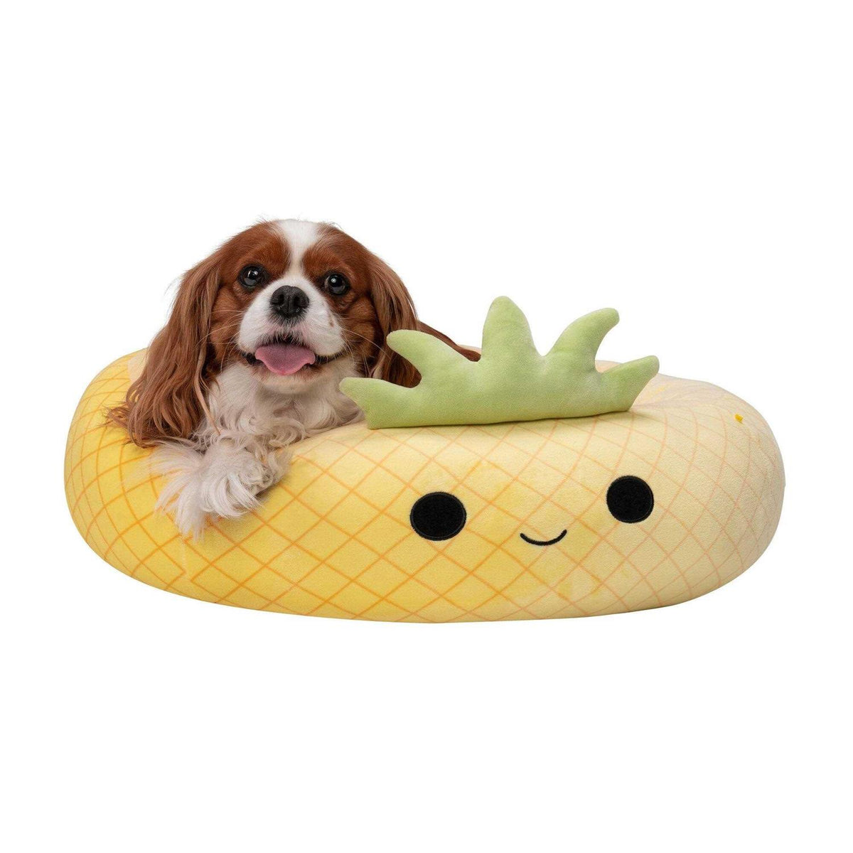 Pineapple Pet Bed F787