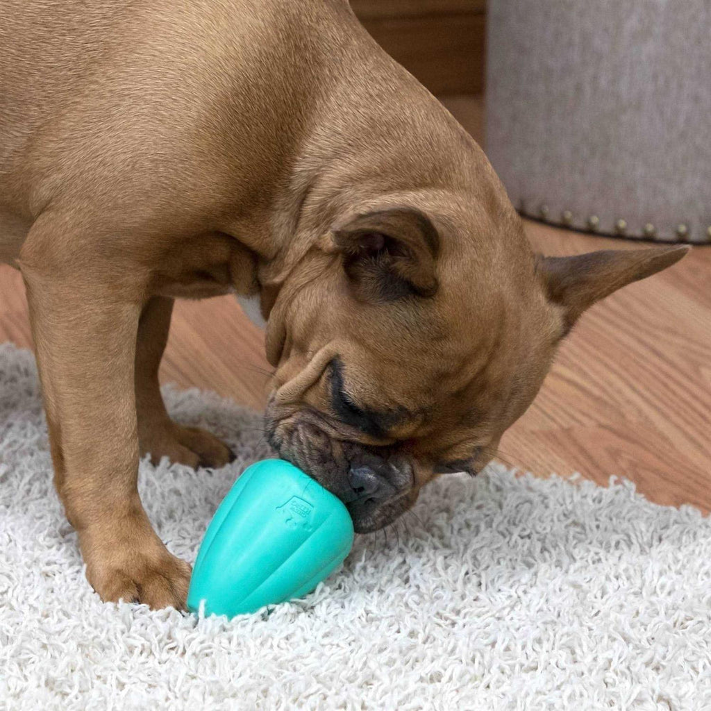 Treat Dog Toy Y708406