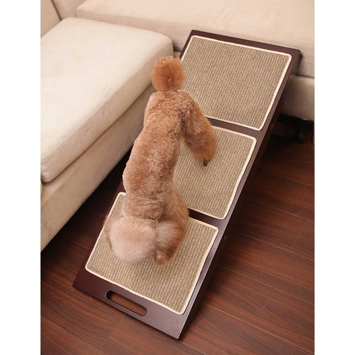 Collapsible Pet Ramp T5025