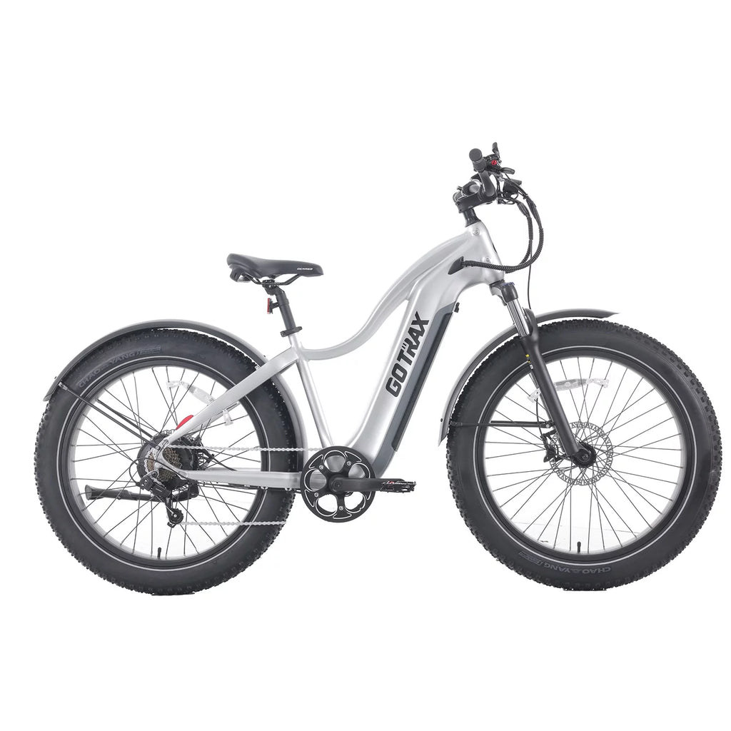 750W 48V 26 x 4 Fat Tire Electric Bike Q719