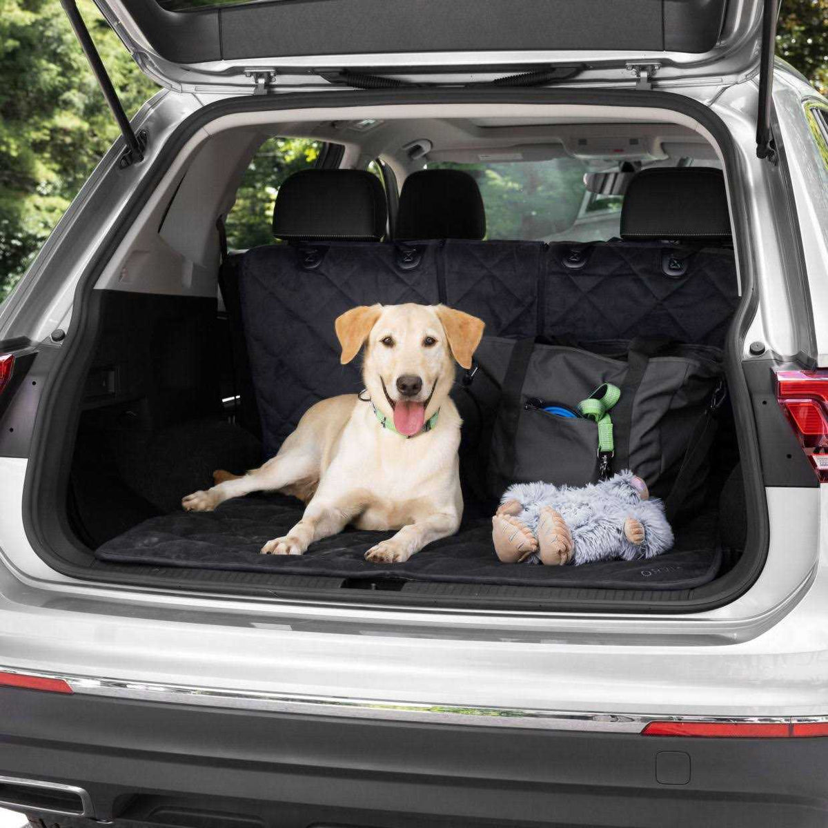 Dog Tote G53650