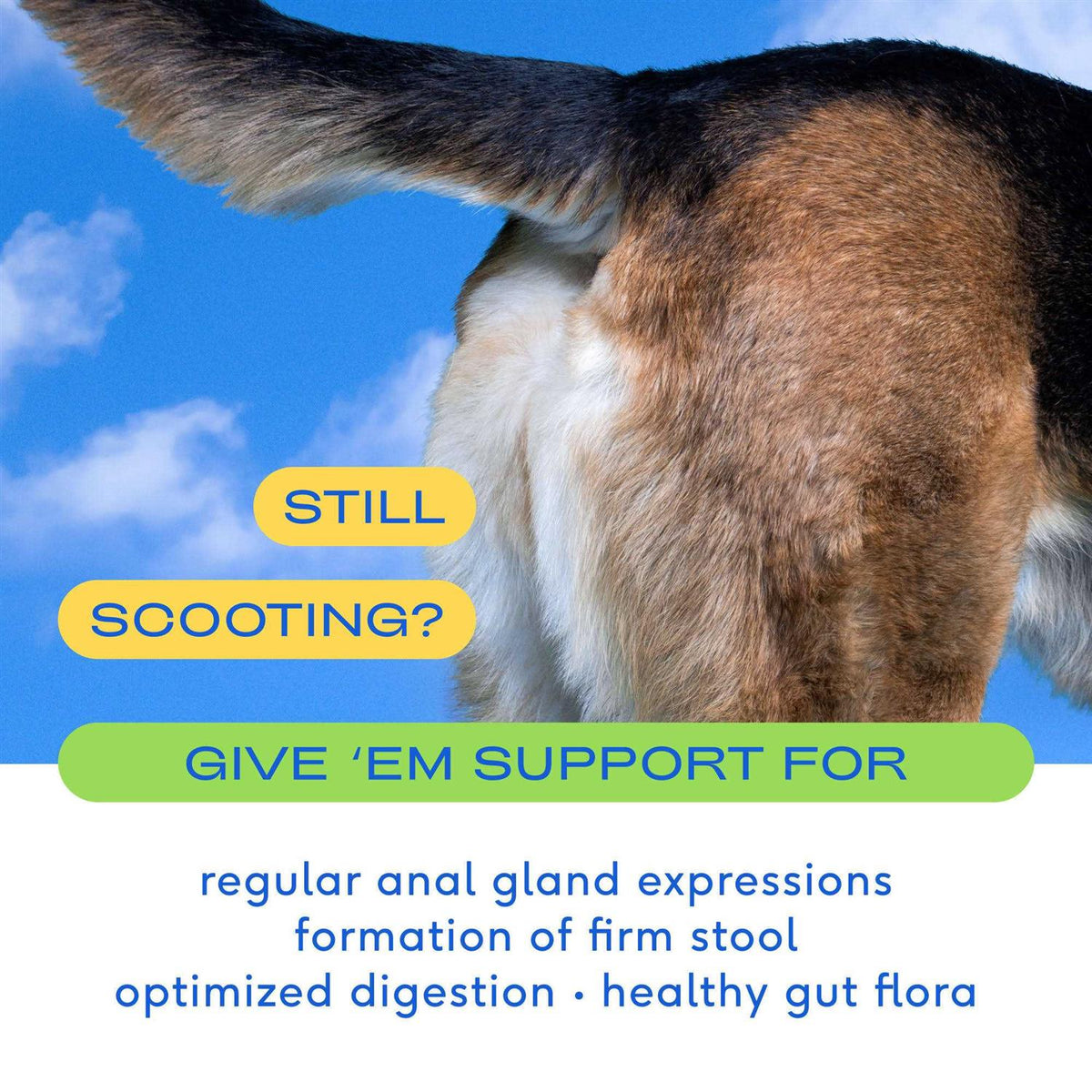 Anal Gland Supplement for Dogs R46862