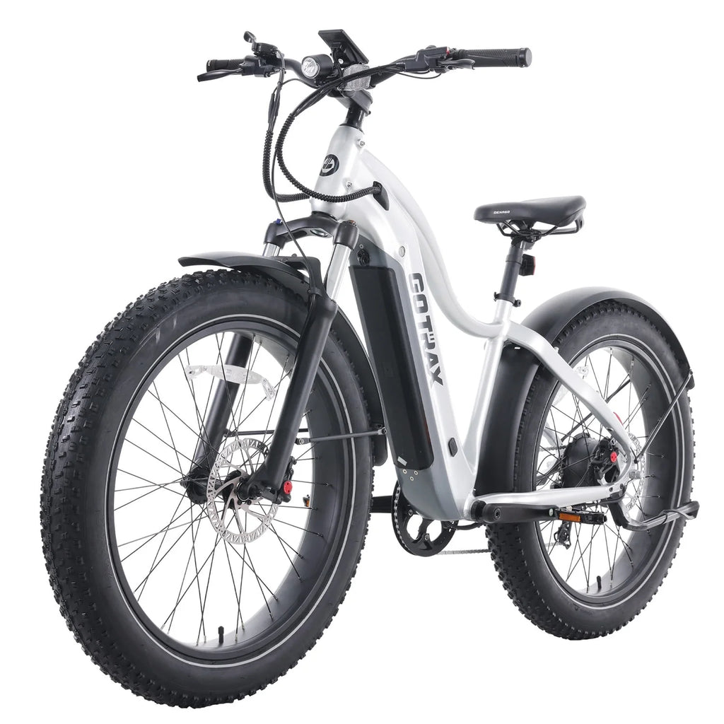 750W 48V 26 x 4 Fat Tire Electric Bike Q719