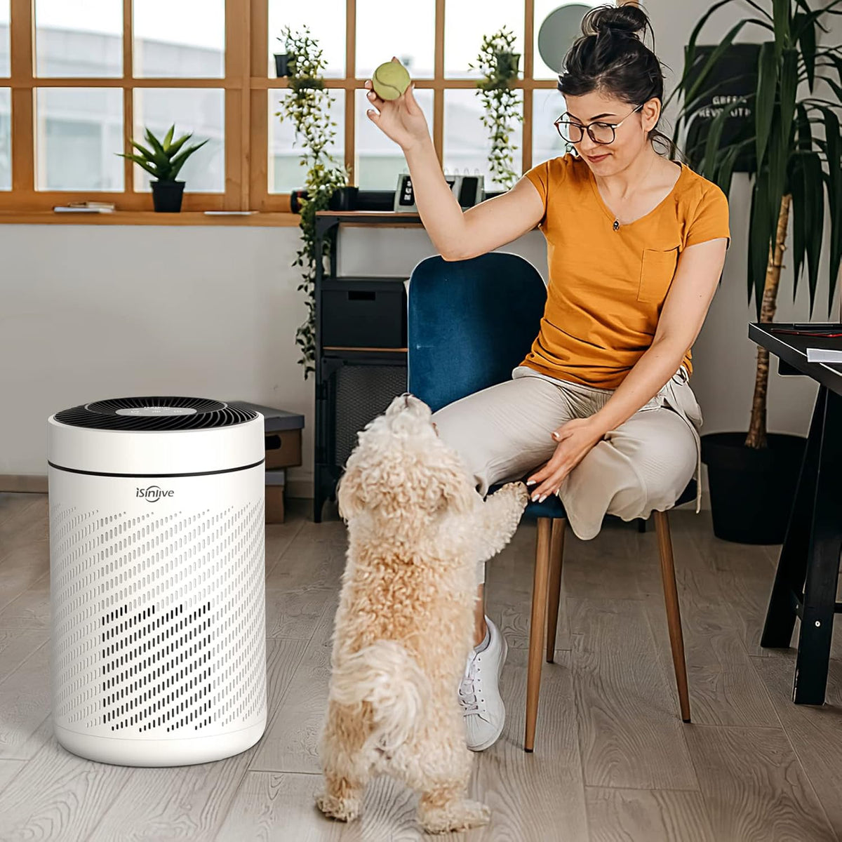 HEPA Air Purifier with PM2.5 Smart Sensor, H13 True HEPA, 22dB Q851