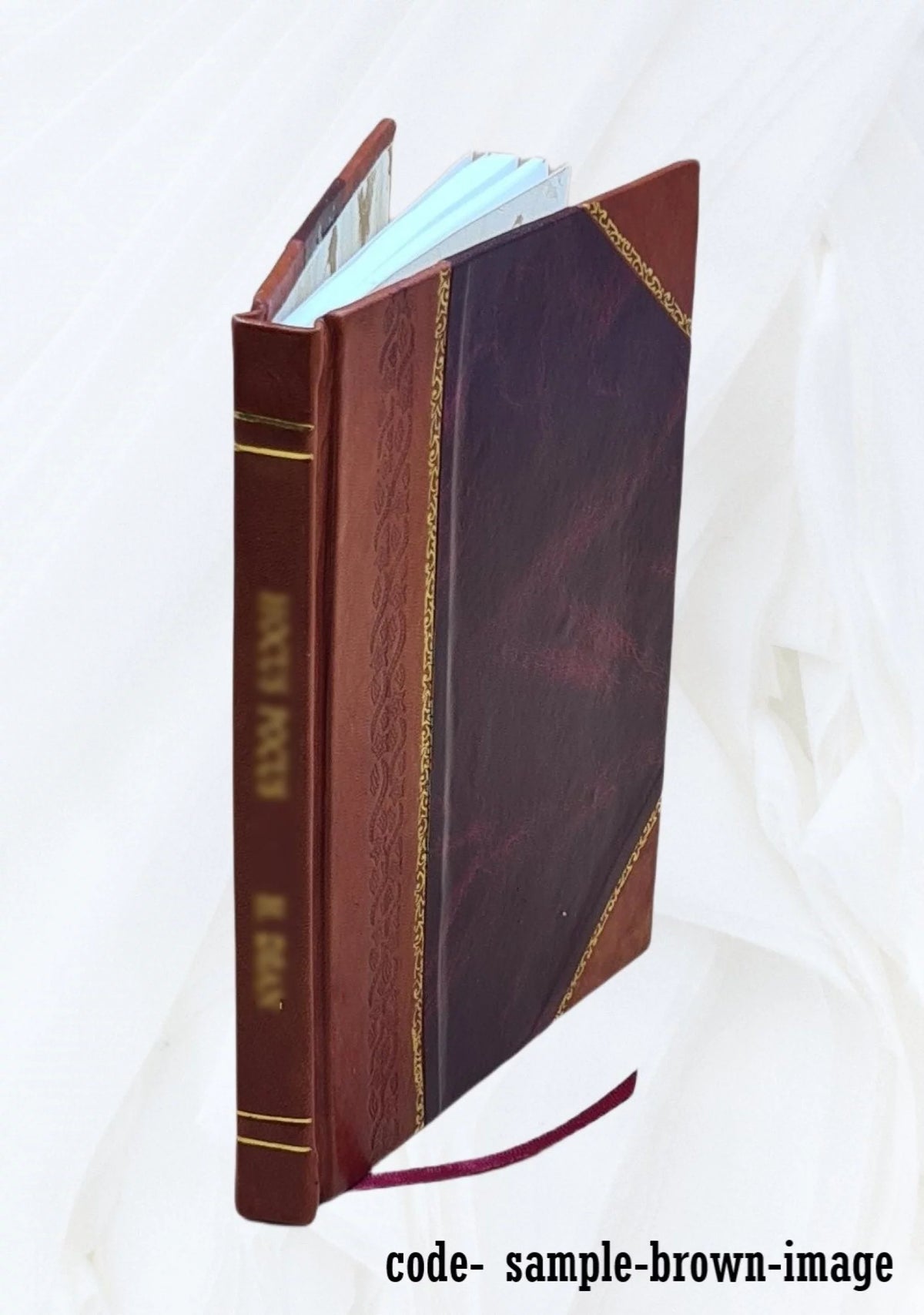 Leather Bound Book Q712