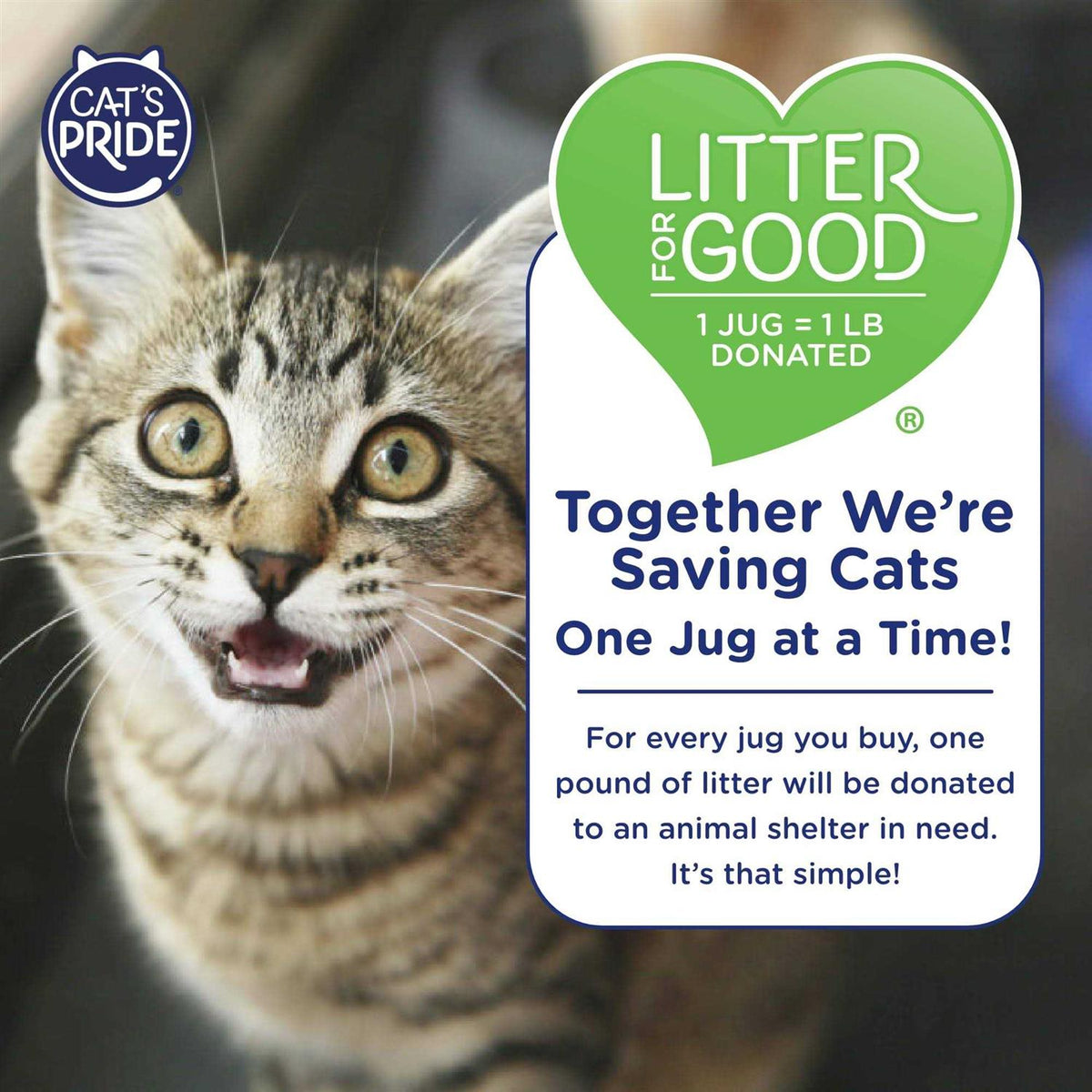 Scented Cat Litter Q6434
