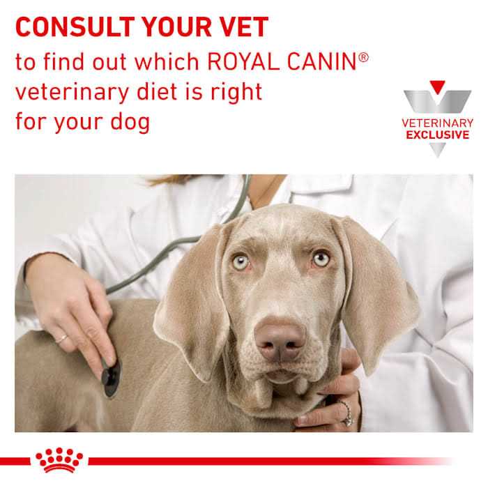 Wet Dog Food K3384