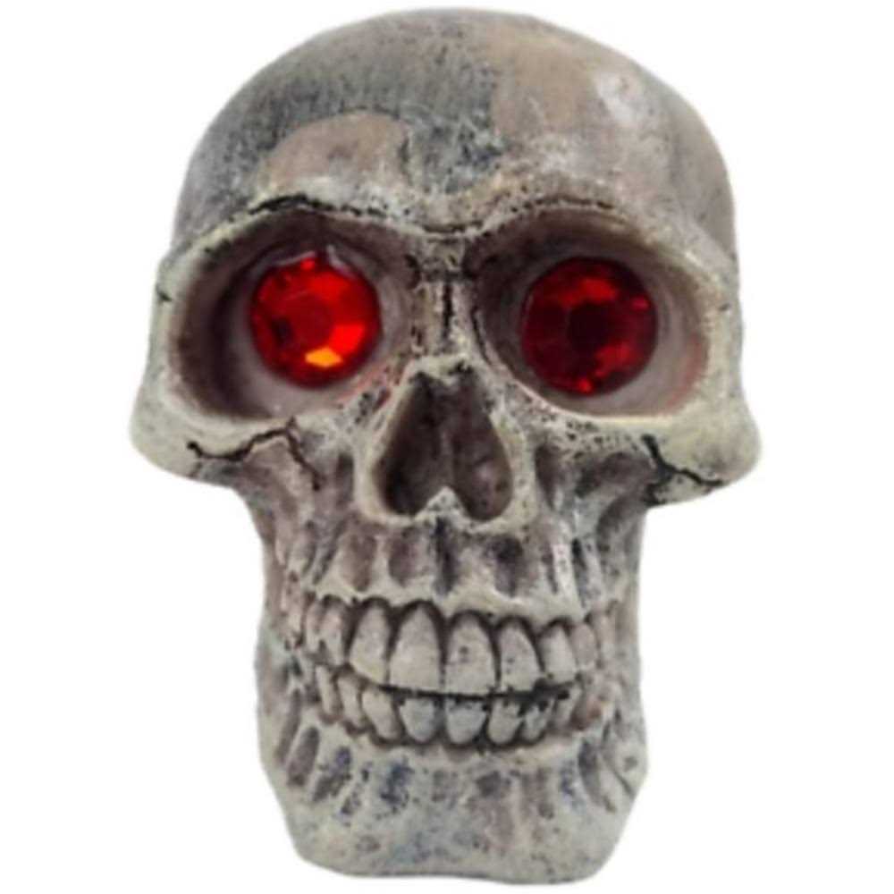 Skull Gazer Ornament W42253